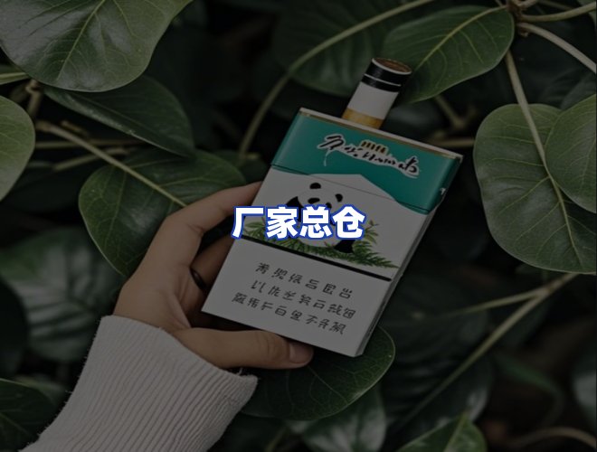 专业团队